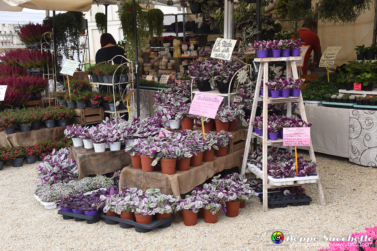 VBS_3483 - Floreal 2023 - Vivere con le piante.jpg